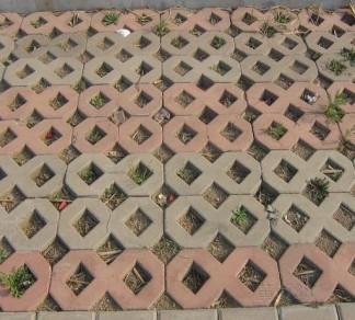 山東植草磚 山東植草磚