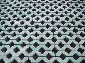  生態(tài)植草磚